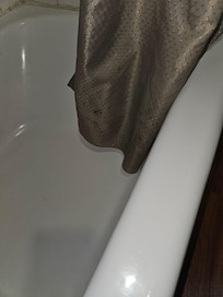 Dirty tub and shower curtain
