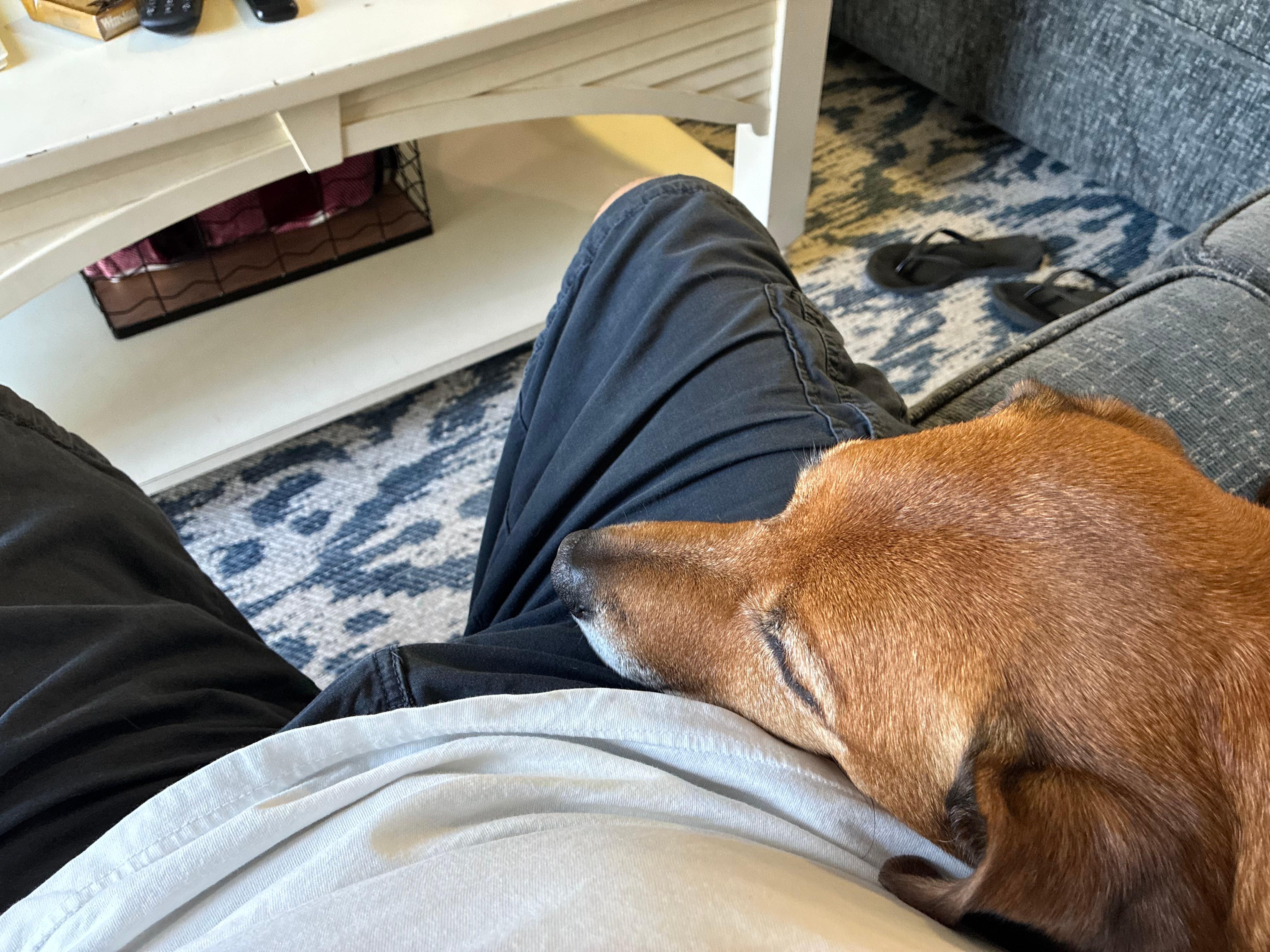 Dog and I relaxing