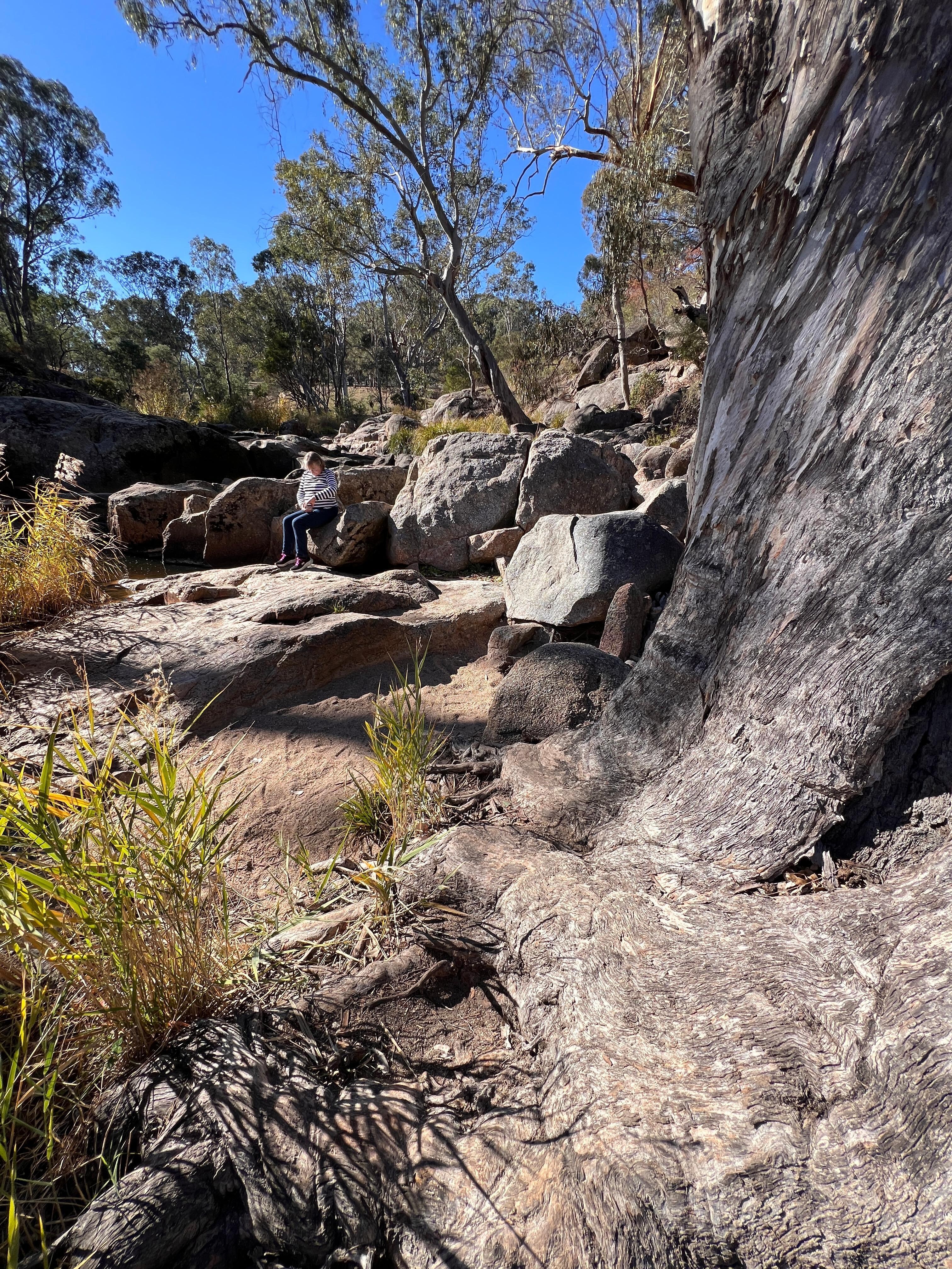 Seven Creeks Wildlife Reserve