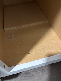 Dead bug in kitchen cabinet