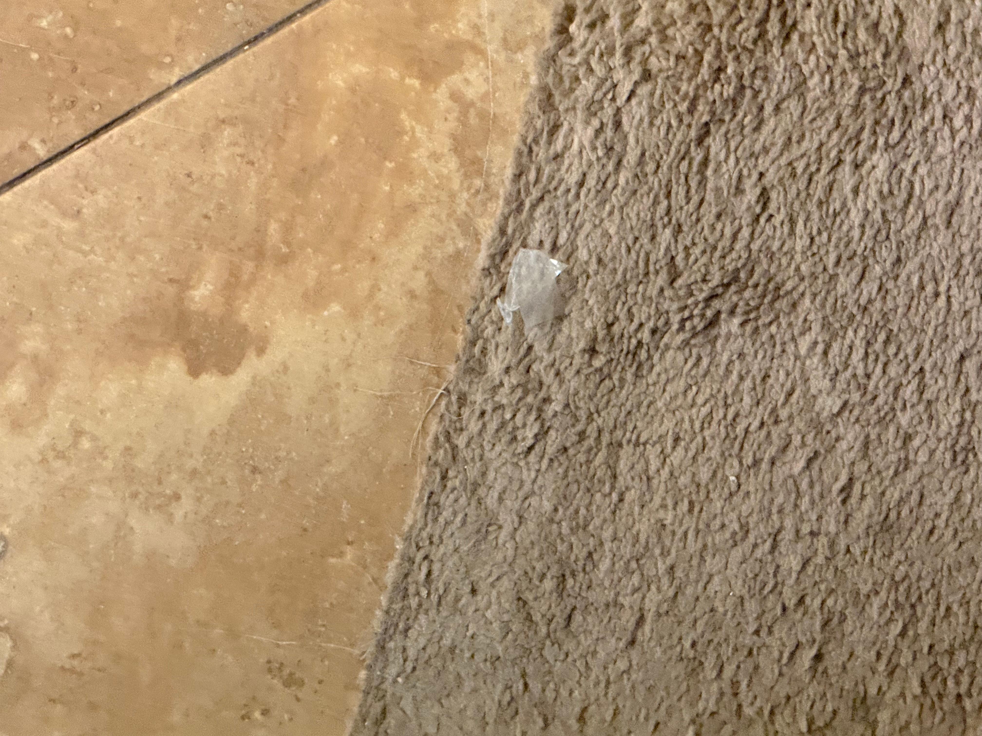 More stained carpets