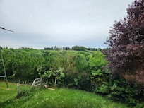 View out the living room window.