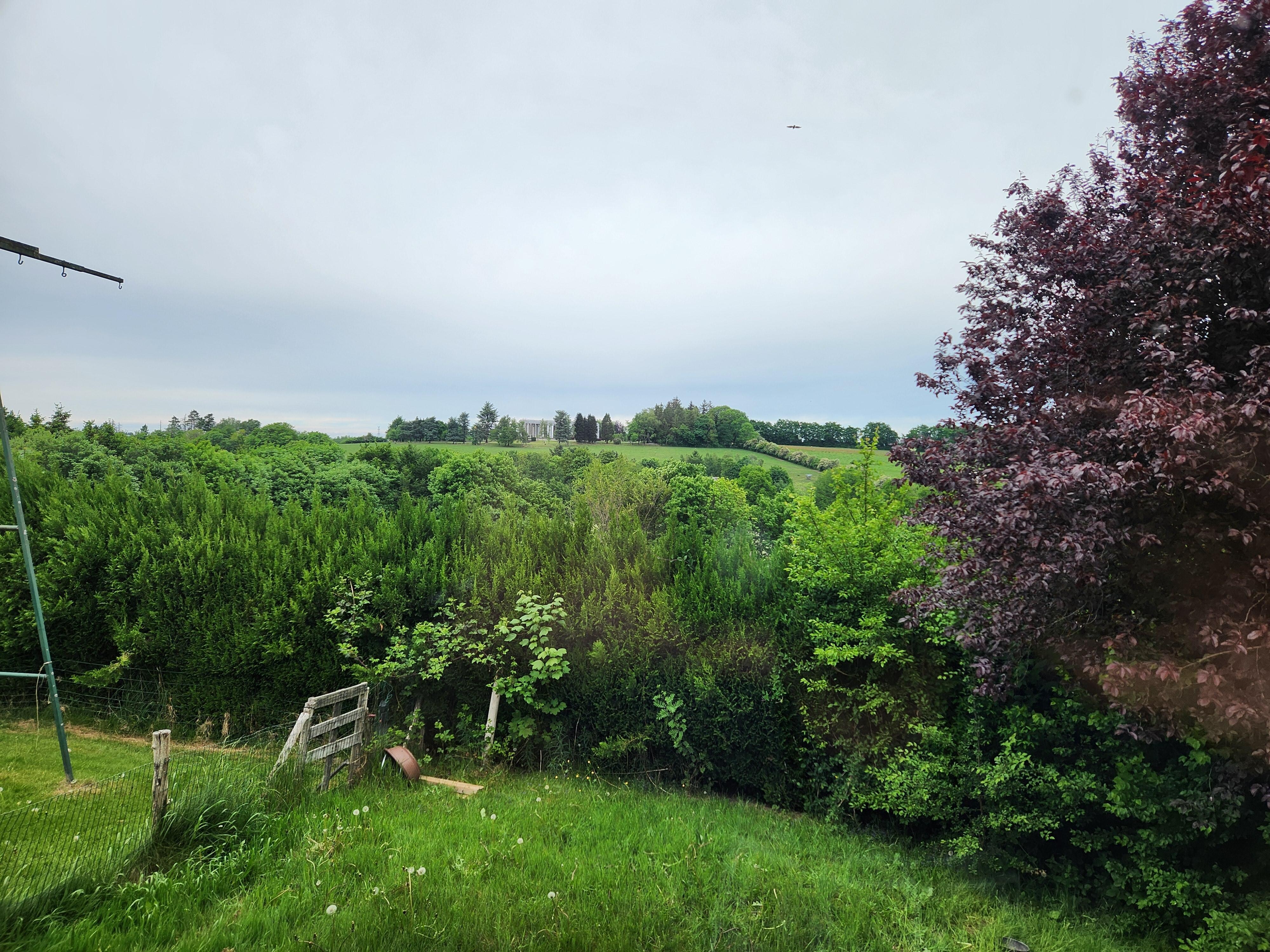View out the living room window.