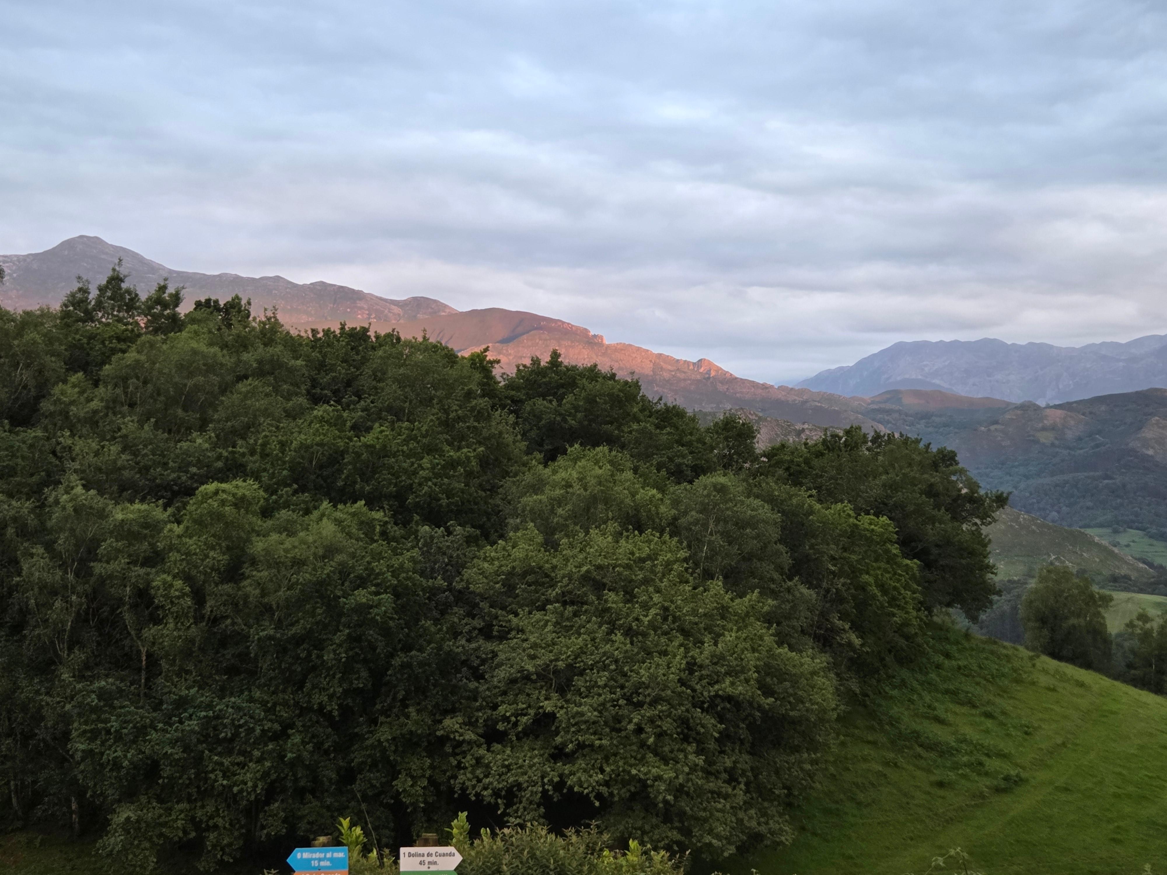 Blick aus dem Vorgarten