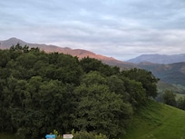 Blick aus dem Vorgarten