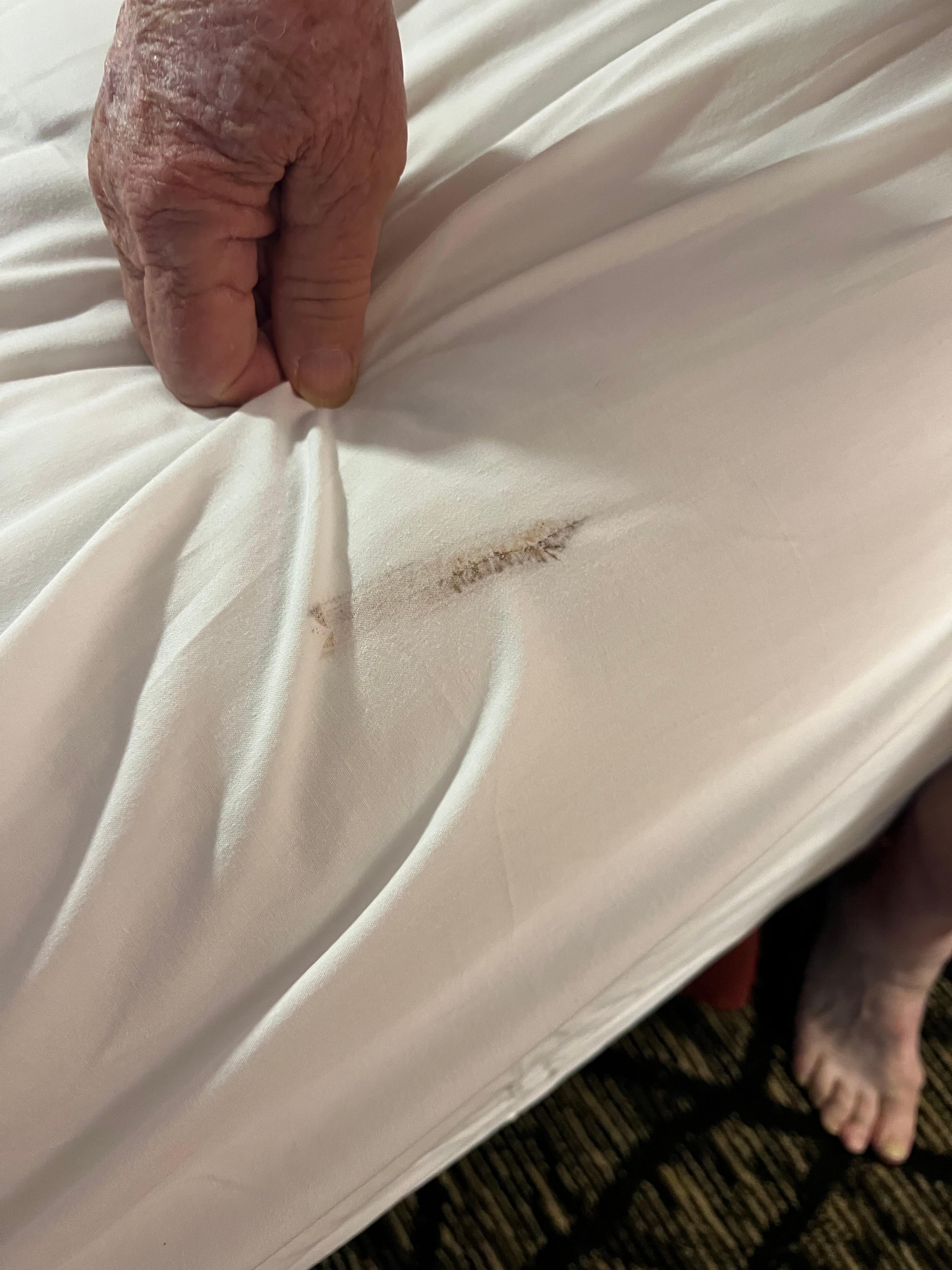 stain on the sheet as we open the bed to get in