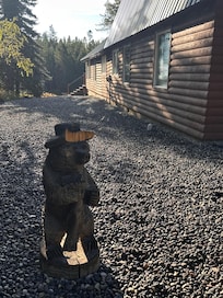 A black bear welcomes you!