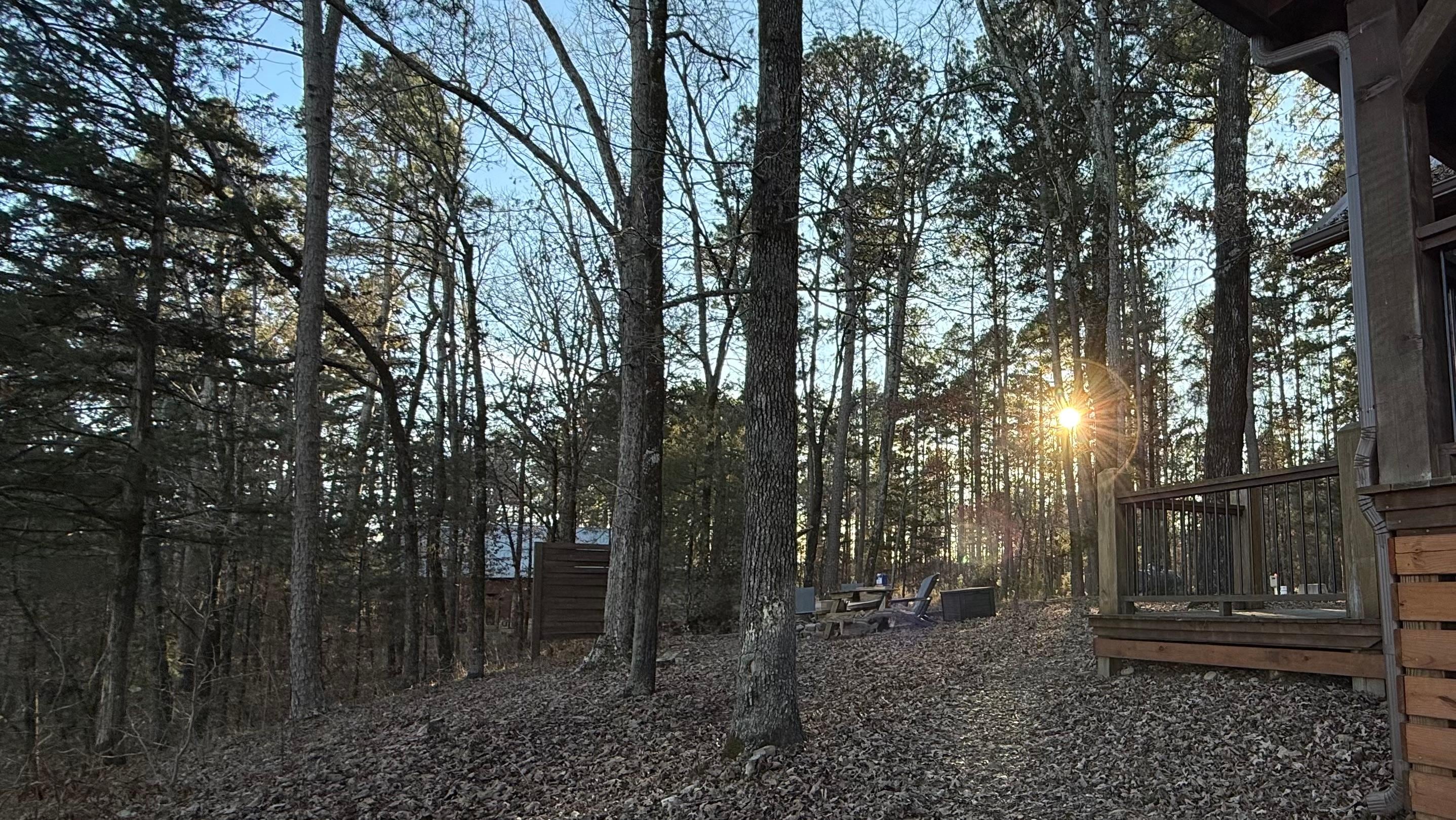 Sunset near the fire pit. 