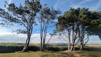 This is the view when sitting outside the front of the chalet when savouring a G & T. Bring some folding picnic chairs