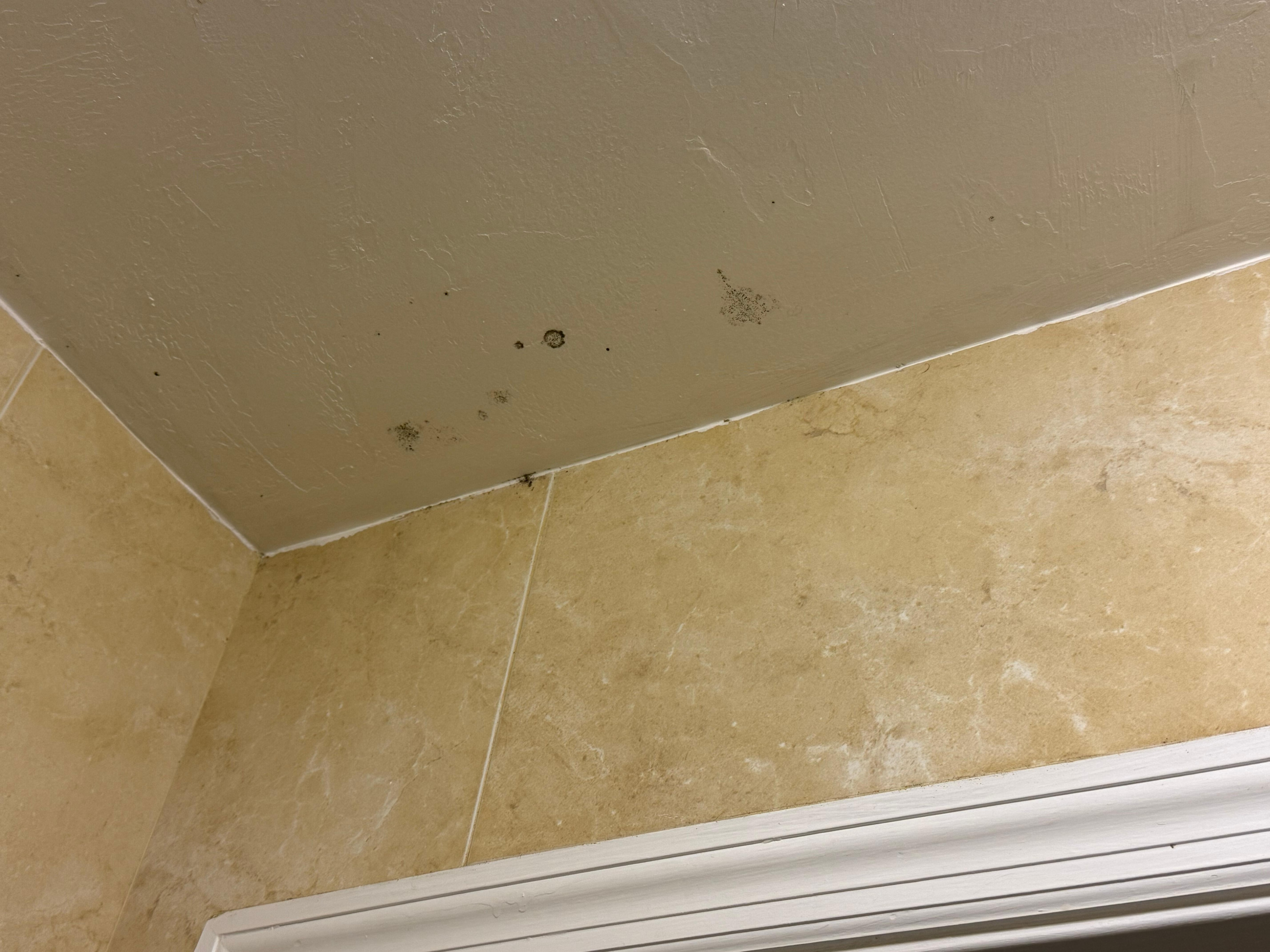 Patches of black mold on bathroom ceiling