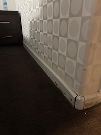 Room was kind of falling apart