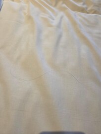 Hair found on the bed