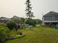 In the backyard