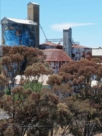 Silo Art at Mertoa