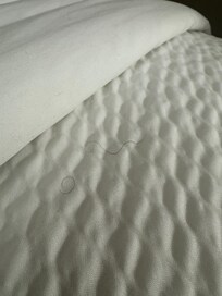 Bed upon arrival