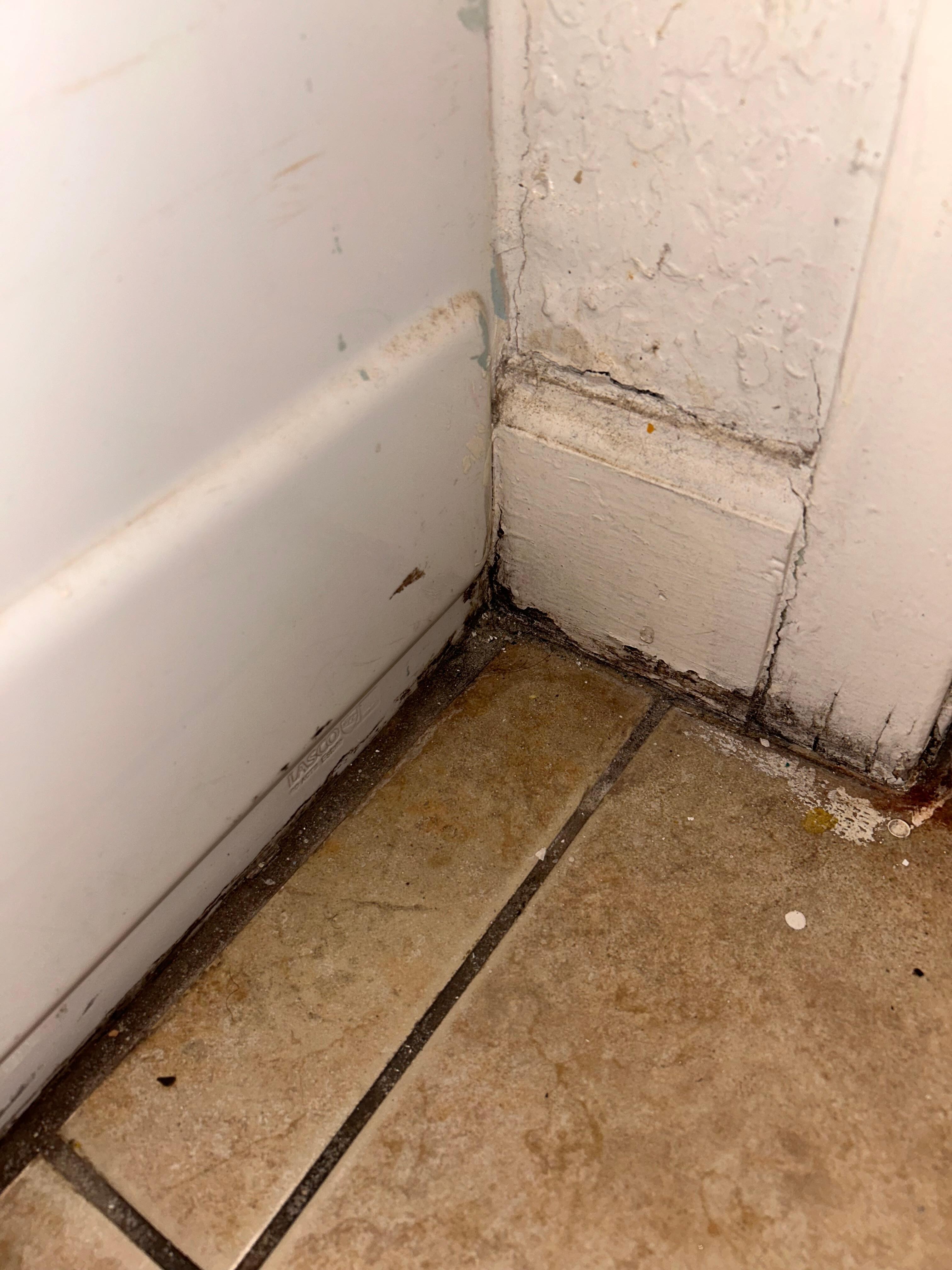Cover of bathroom 