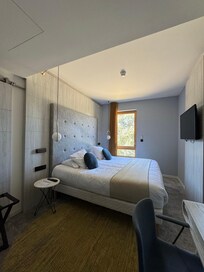 Room was basically a Hilton standard hotel room, two beds shoved together.