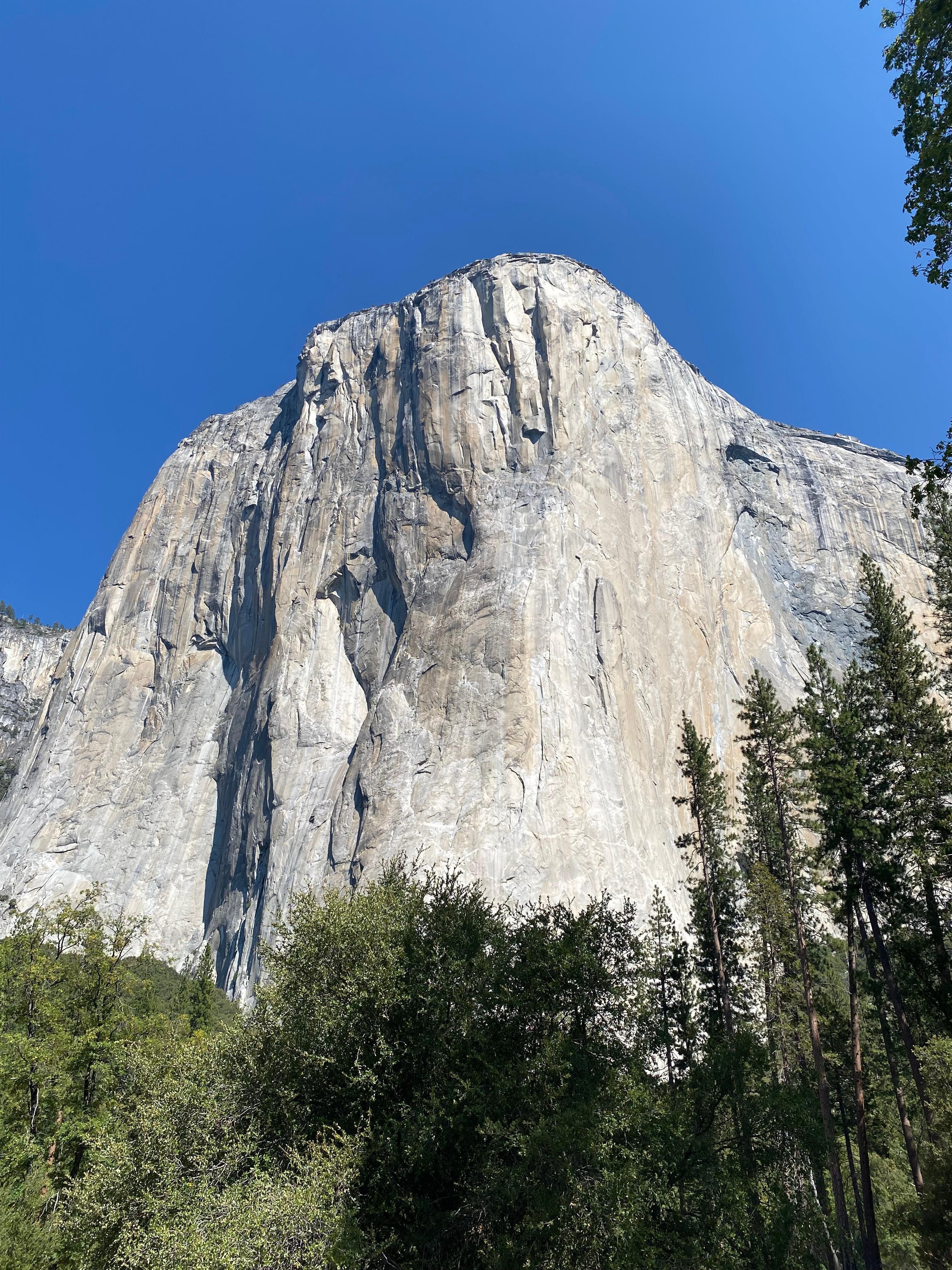 The main reason for our trip and stay was to visit Yosemite. 