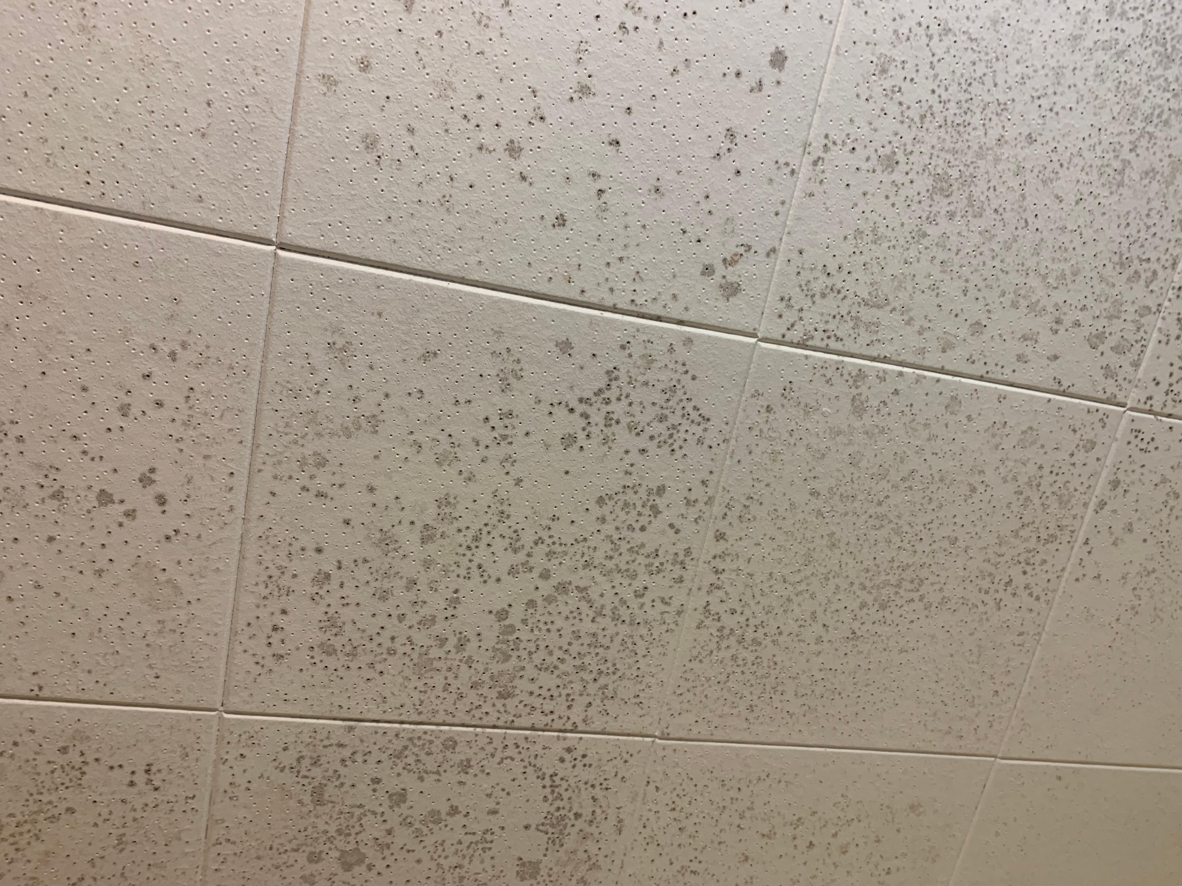 Mould on bathroom ceiling as there was no fan 