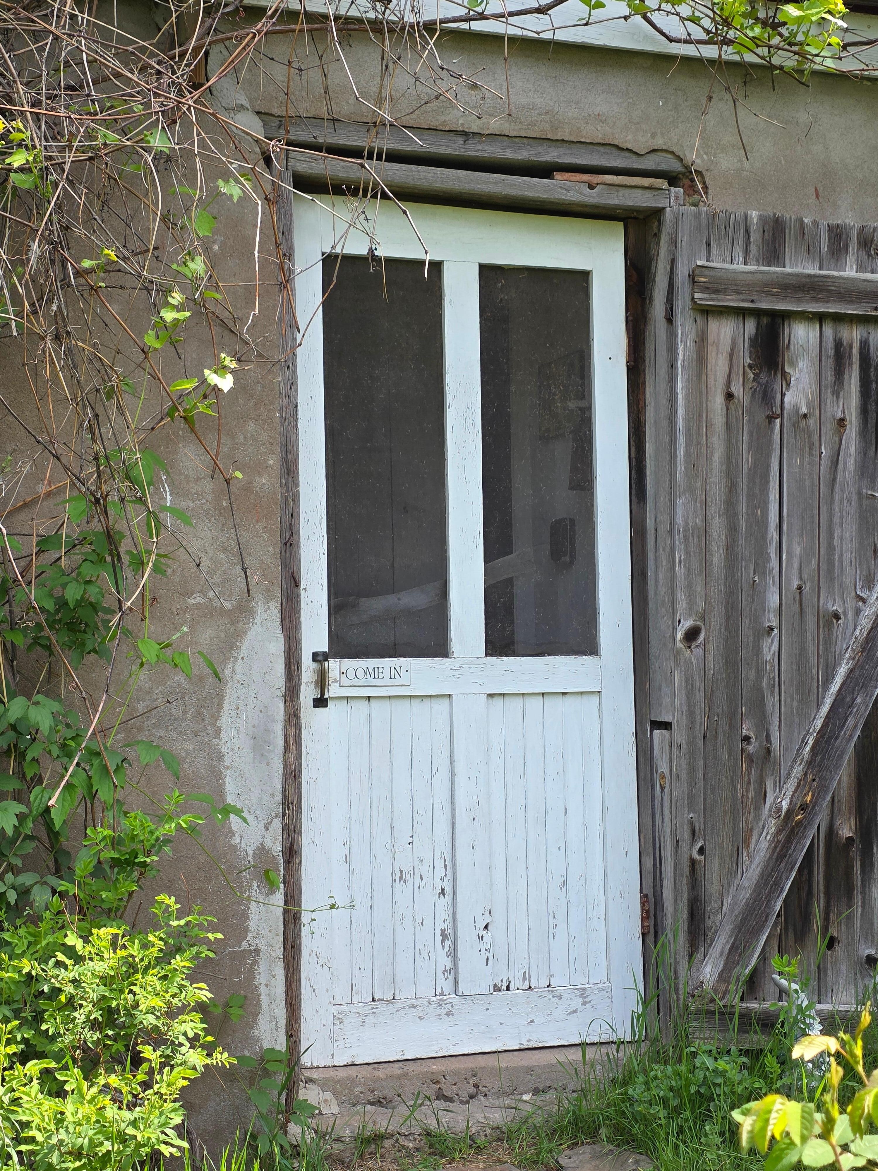 Back door