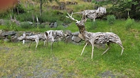 Driftwood scuptures in garden
