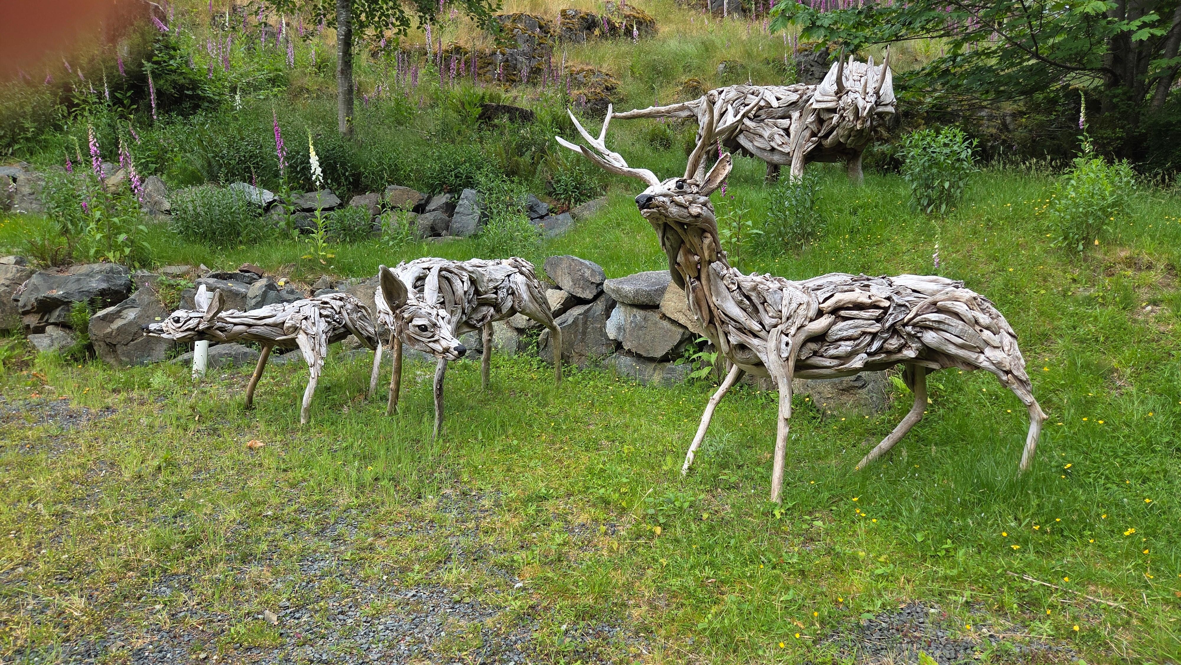 Driftwood scuptures in garden