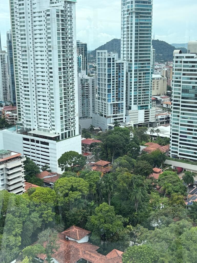 View from rooftop restaurant of building