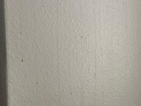 Bathroom wall near light switch