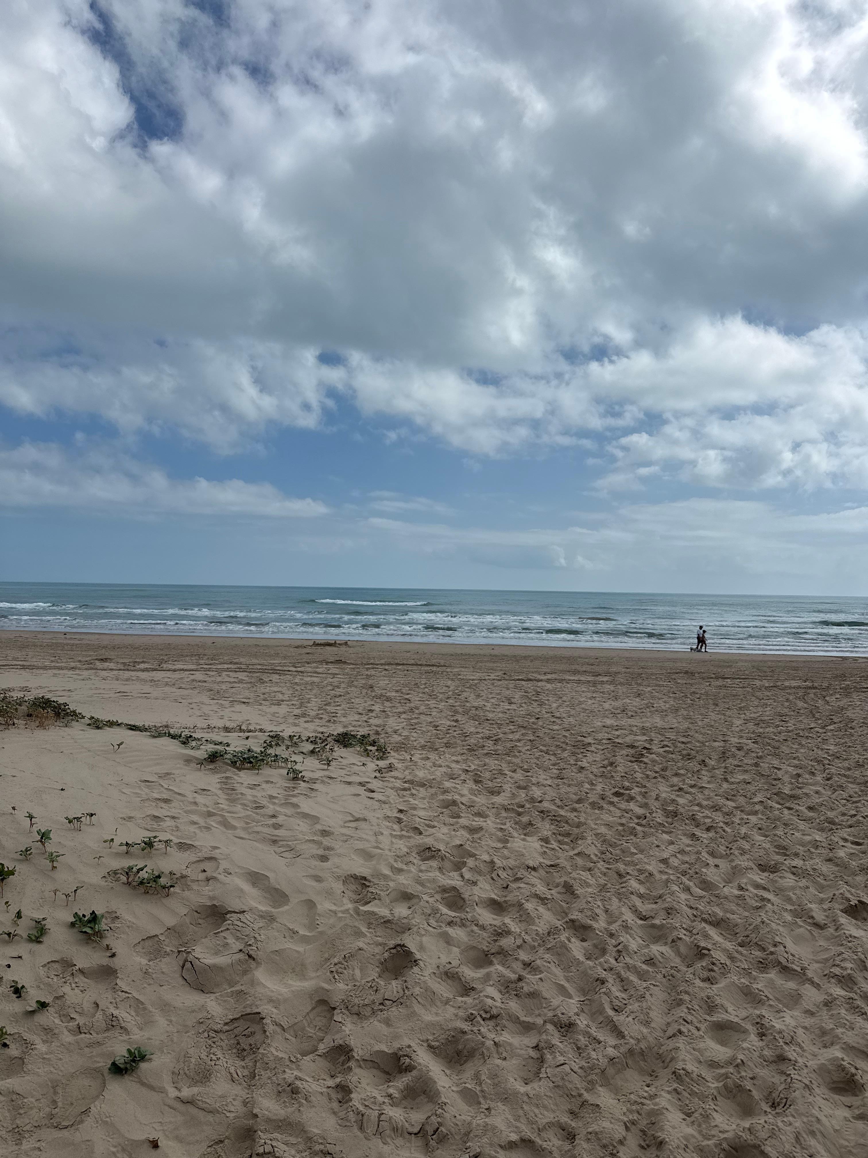 Quiet and peaceful.  An oasis!