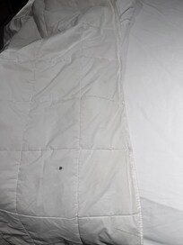 You can see big black stain on it