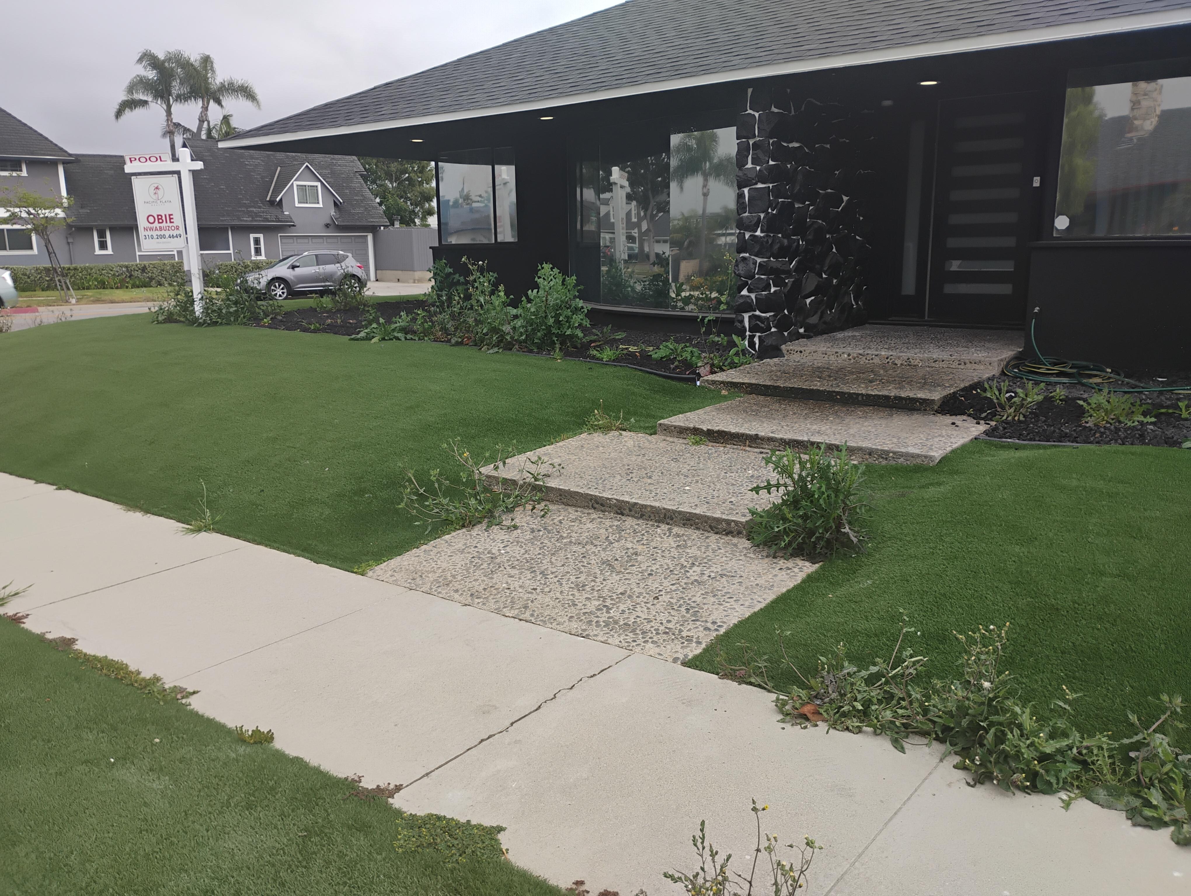 Weeds in yard