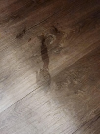 El piso está manchado.