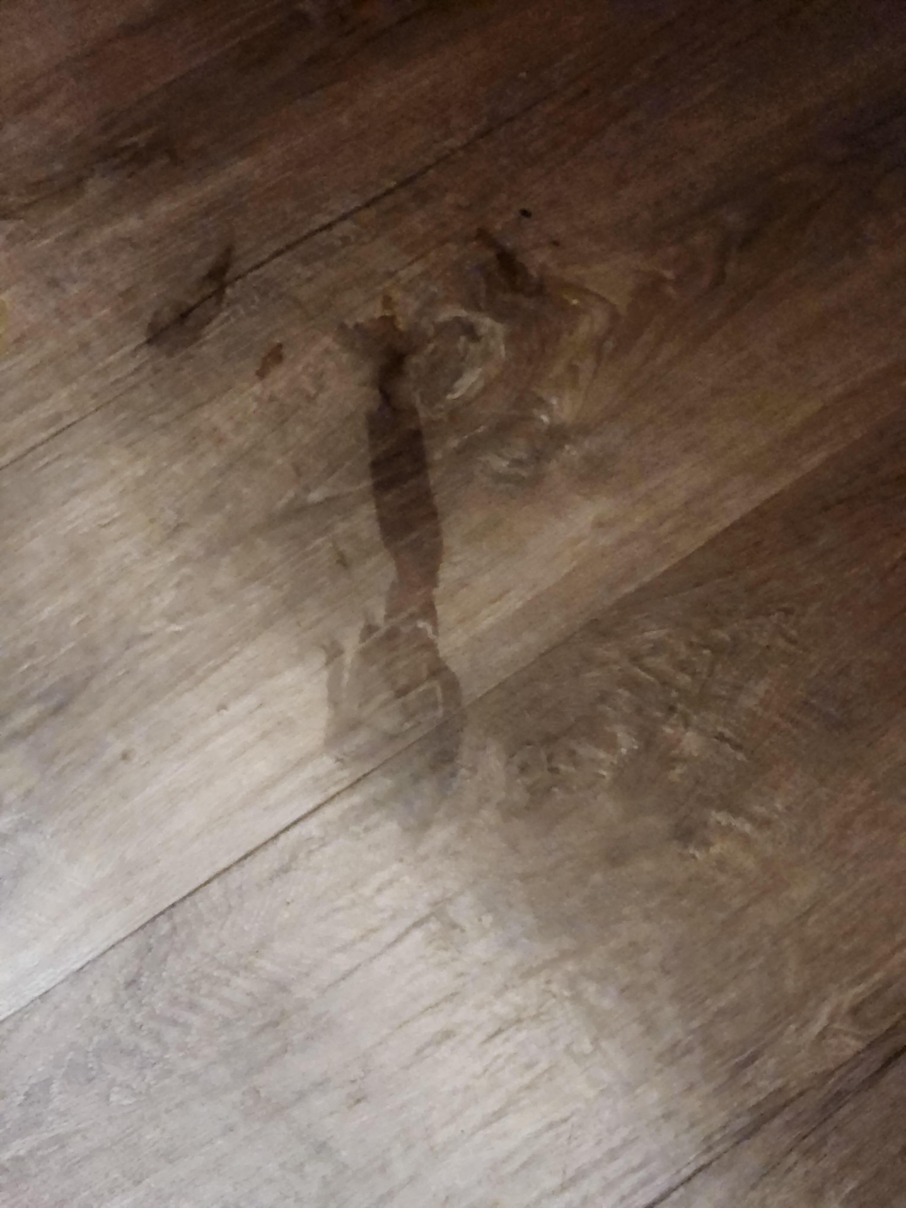 El piso estรก manchado.