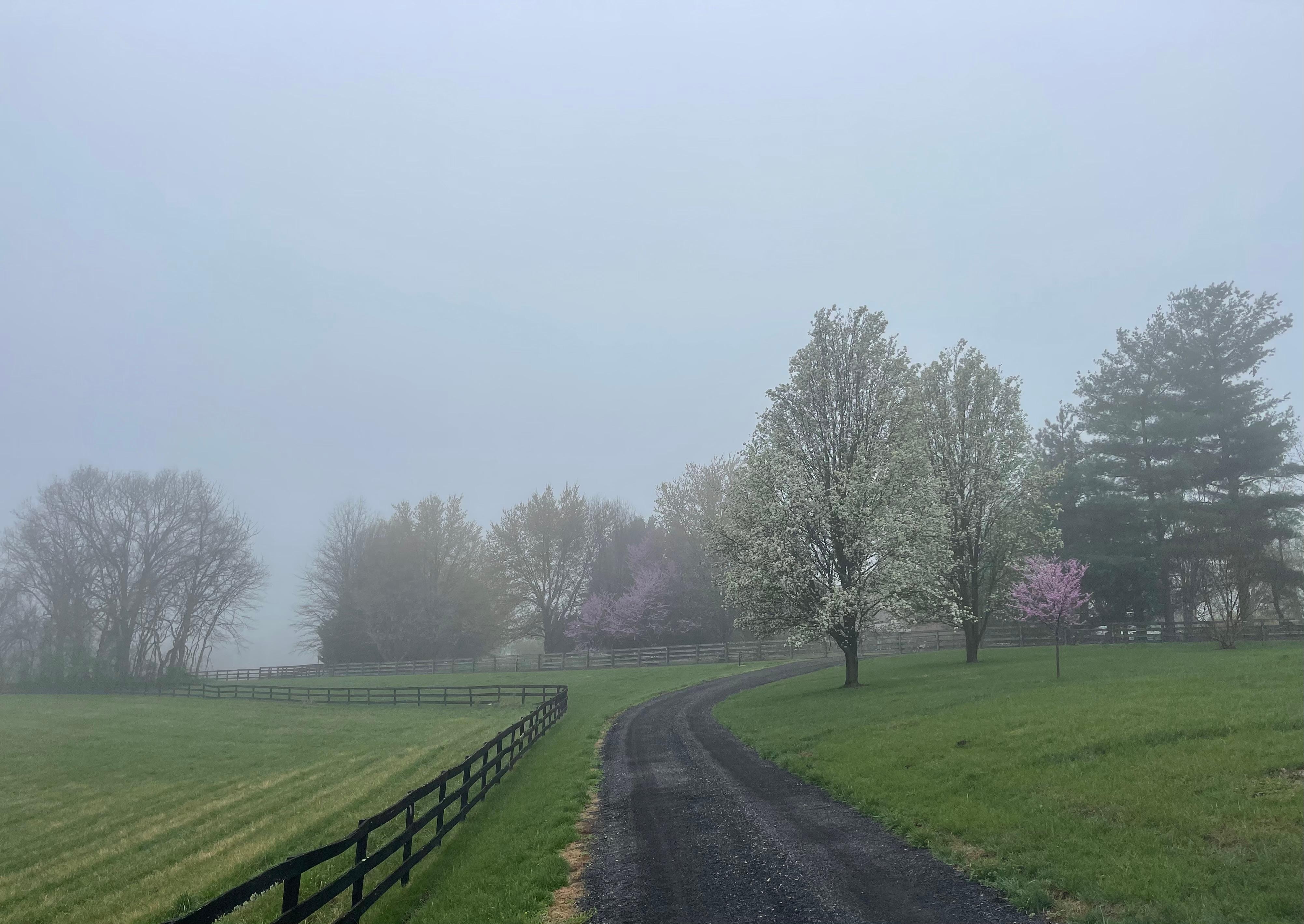 The drive out is stunning. You won't get this at a hotel!