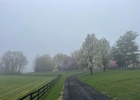 The drive out is stunning. You won't get this at a hotel!