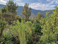 View over the mountains at the back.