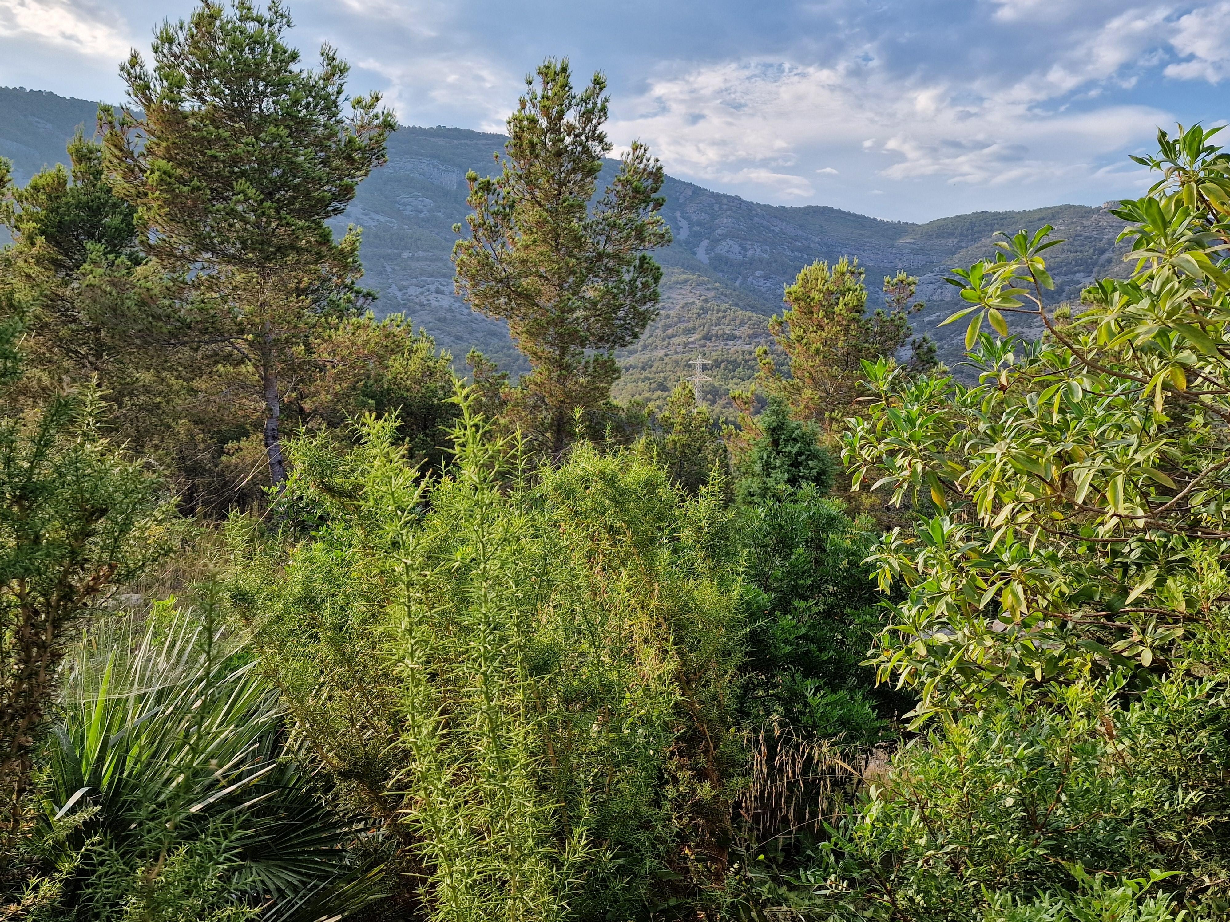 View over the mountains at the back. 