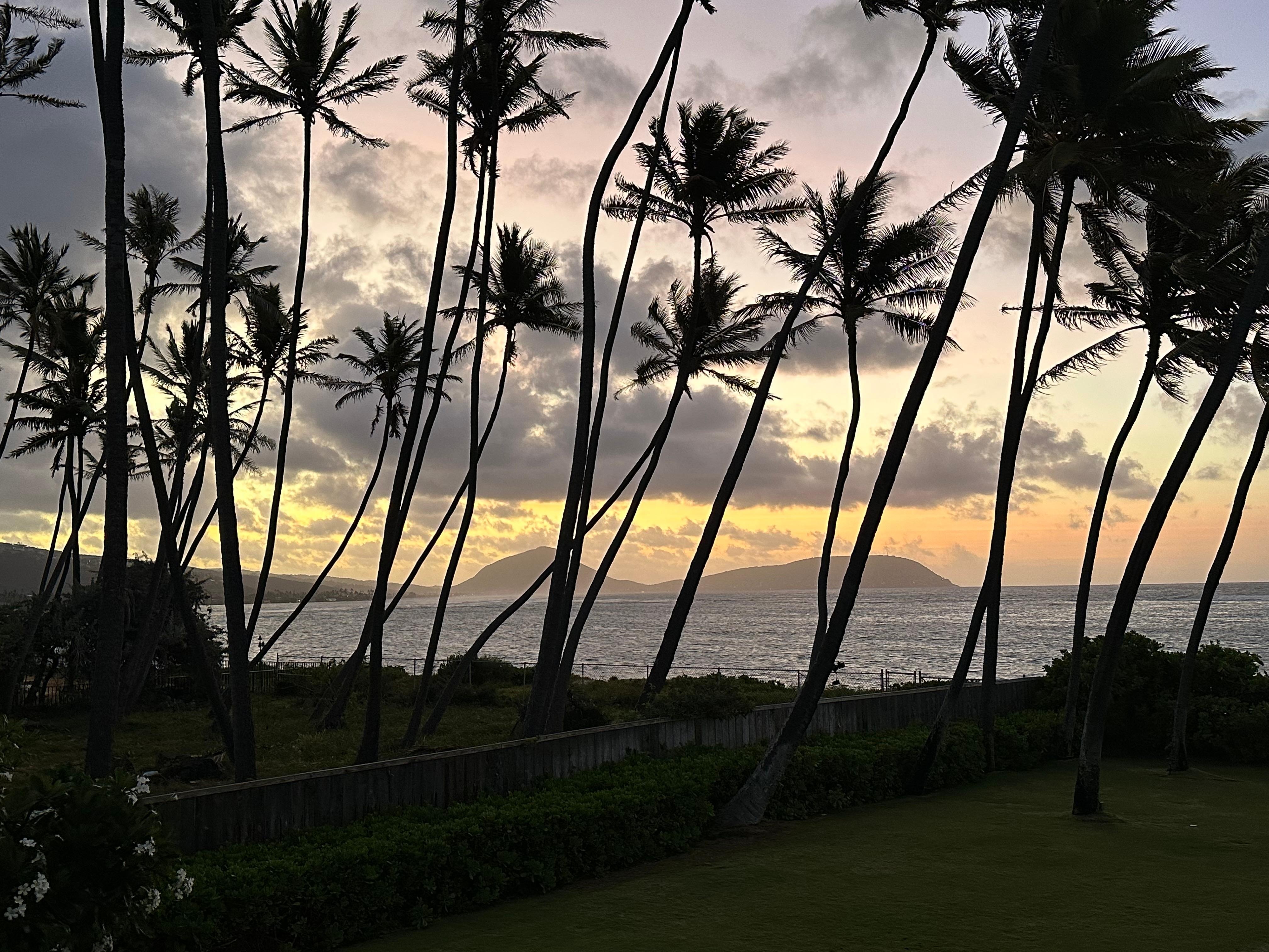 Beautiful morning view