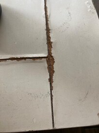 multiple areas of water damage on end table and dining room table