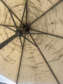 Umbrella in pool area