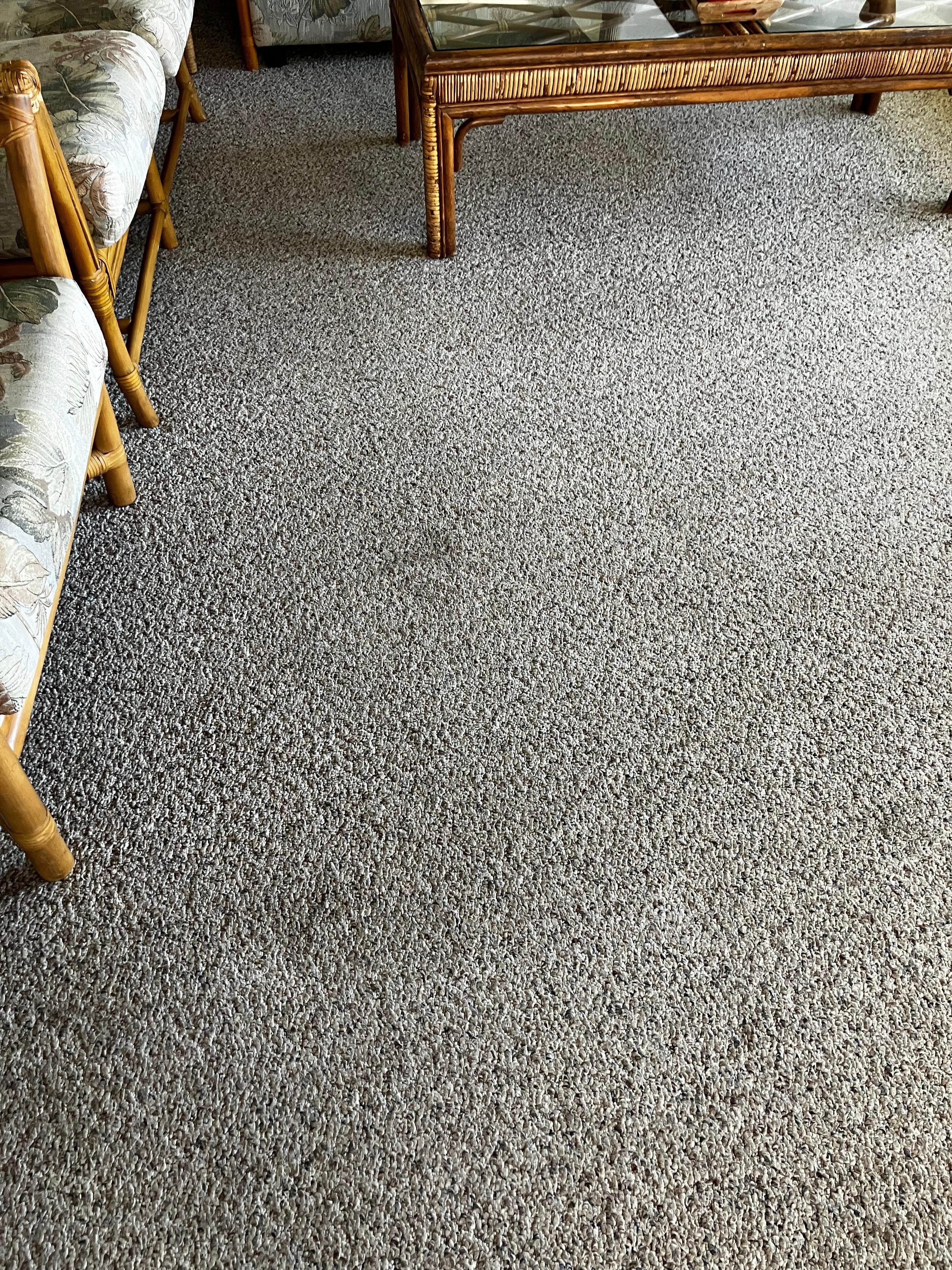 Dirty carpet