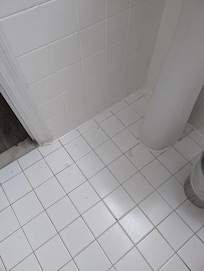The whole bathroom needs to be completely remodeled. It's nasty . I forgot the picture of the sink but you can imagine