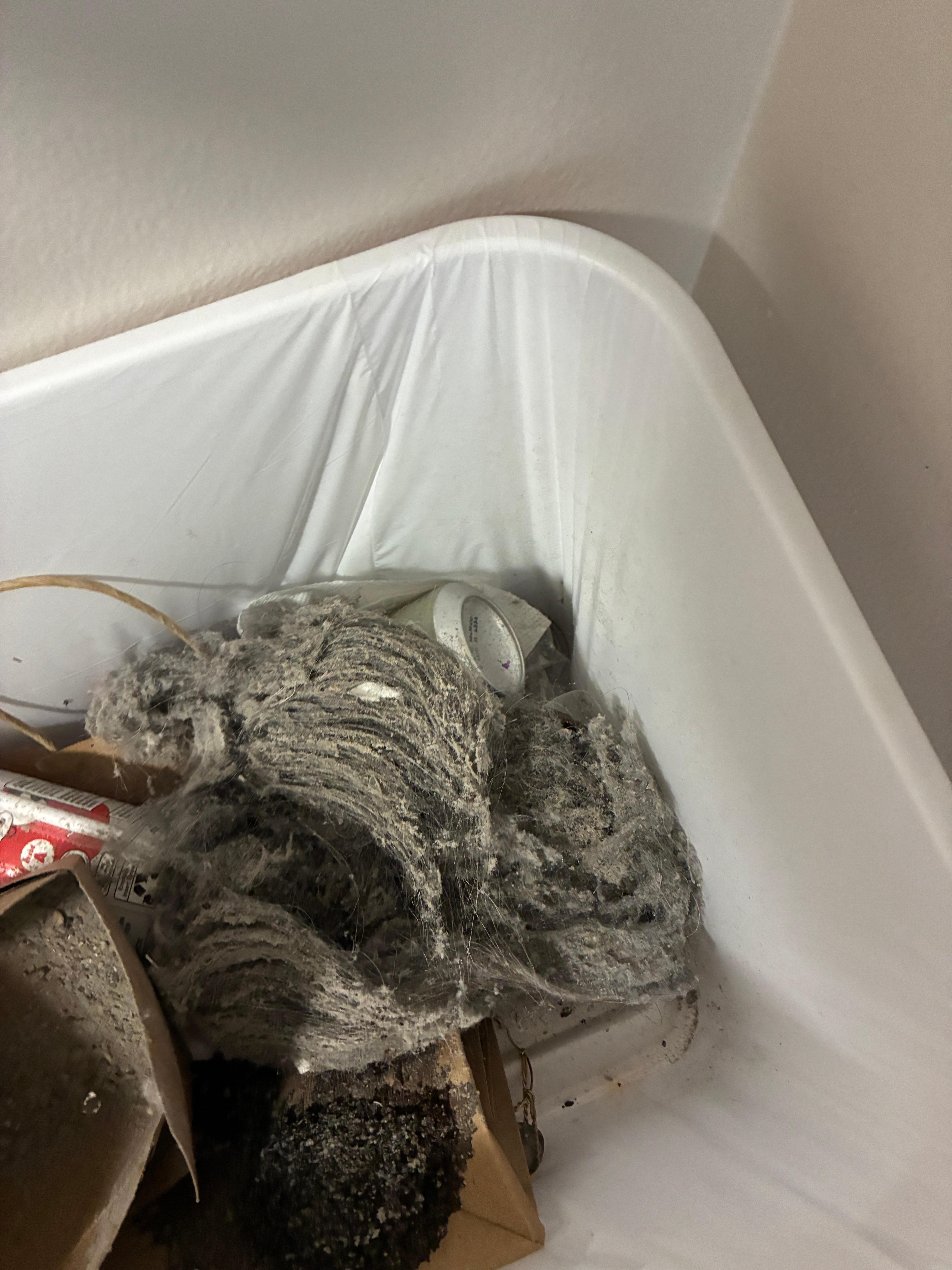 Dirt from the carpet.