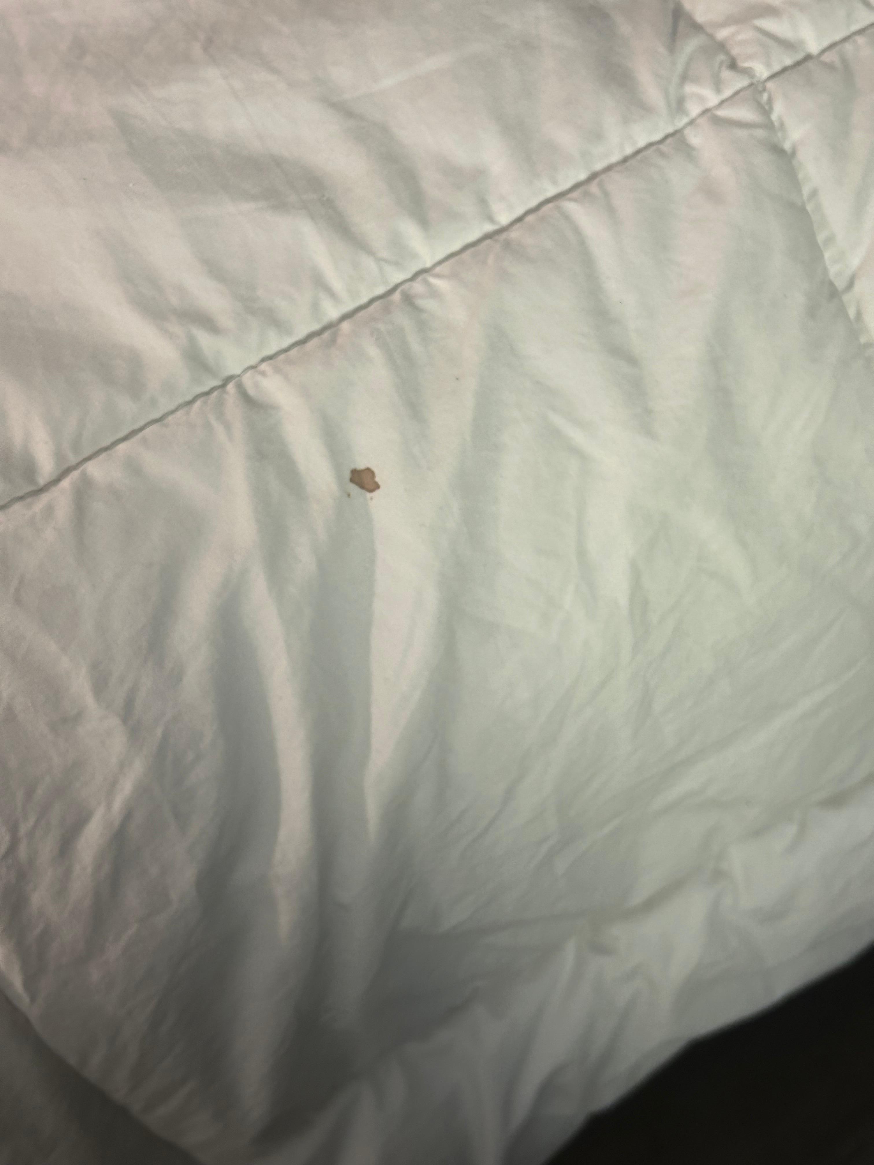 Dirty blanket