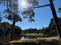 View from the back porch