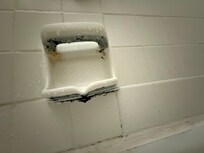 Mold just plain disgusting