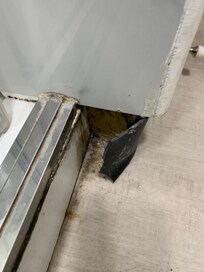 Molding coming loose
