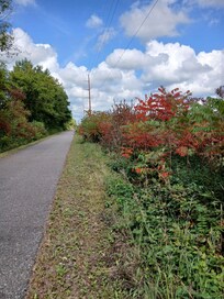September colors along the Old Abe Trail.