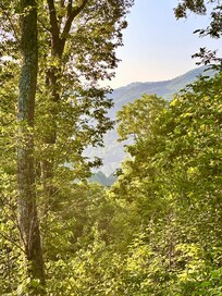 Morning view from the deck.