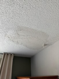 Several stains on the ceiling